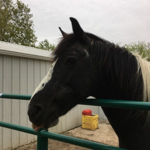 Meet your Posher, Deborah